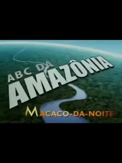 macaco da noite 