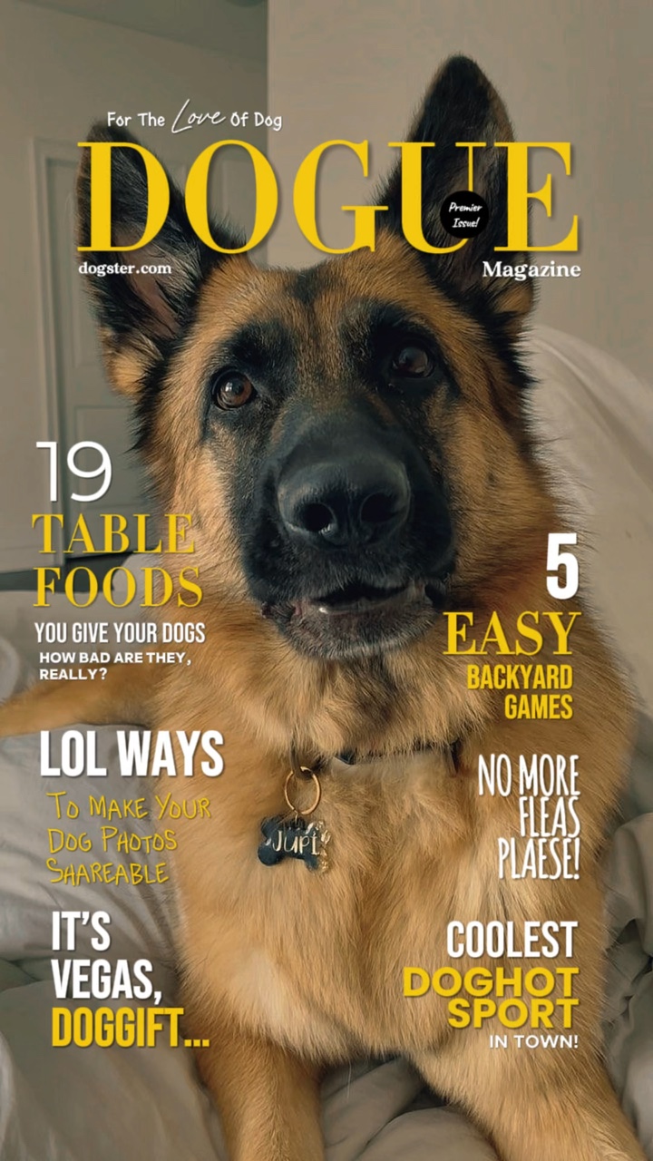 La revista Dogue