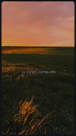 O corpo conquista 