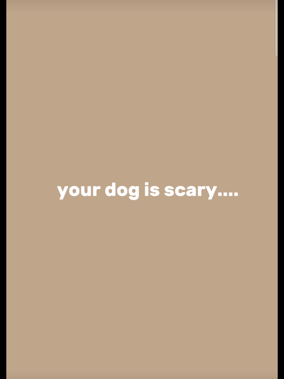Mein Hund?