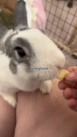Bunnycore!!