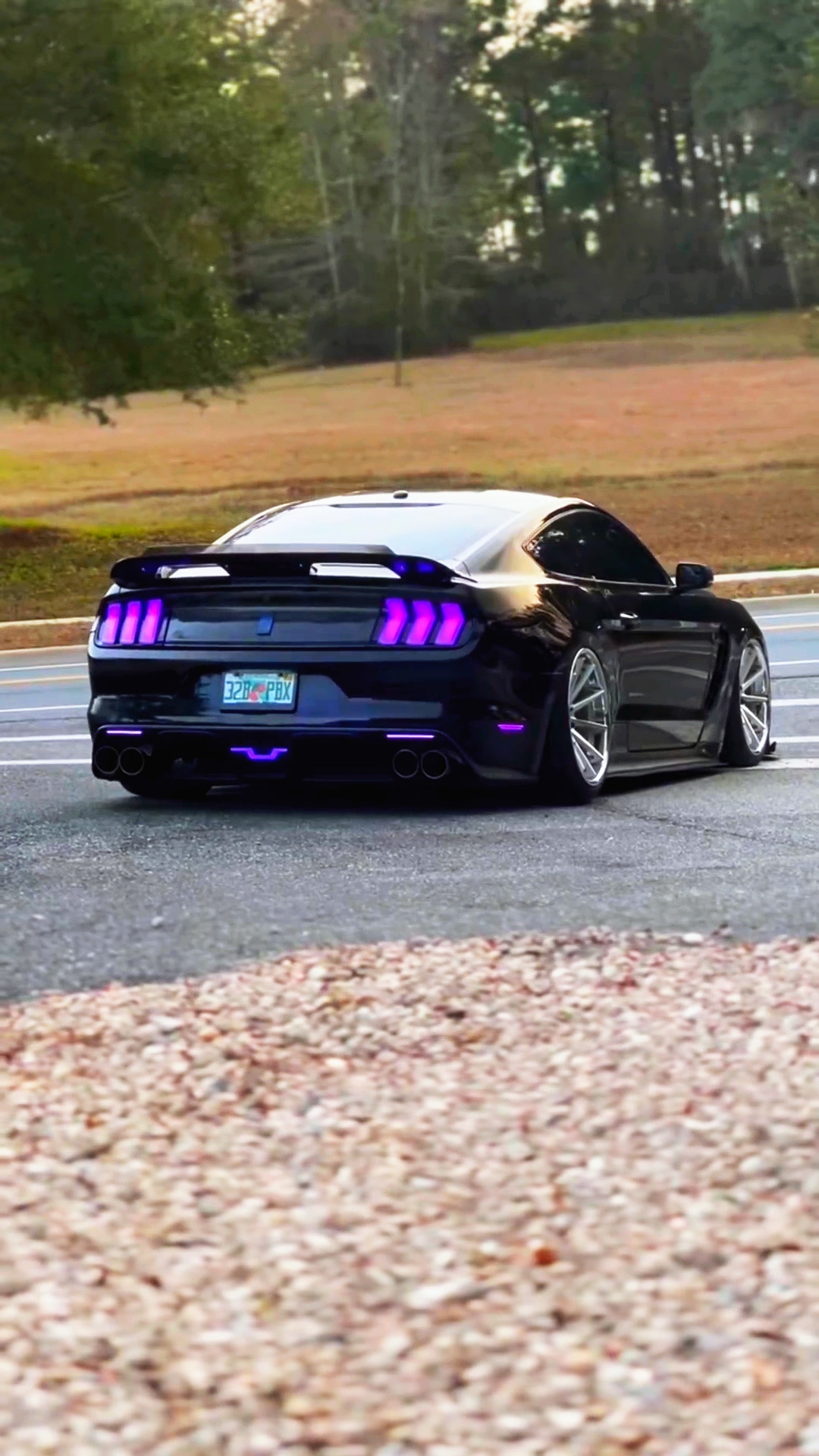 🩷