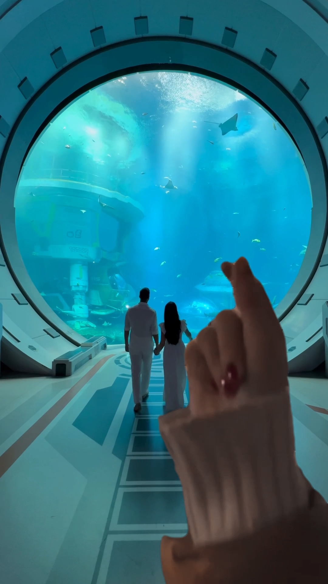 Hand transition