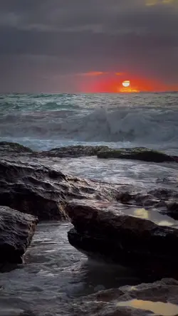 instrumental panoram