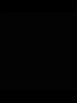 Tiktok trend