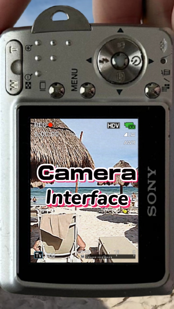 Camera Interface