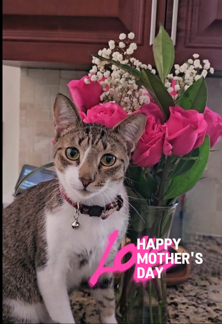 Happy Mother's Day 