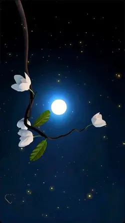Lua prateada!