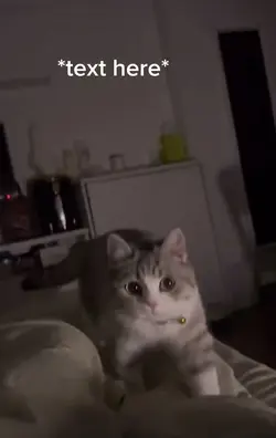 It’s attacking me