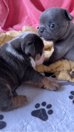 Frohes neues Ja