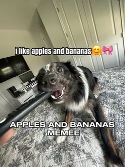 apples and bannanas๐คญ