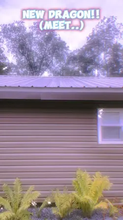 New dragon!!