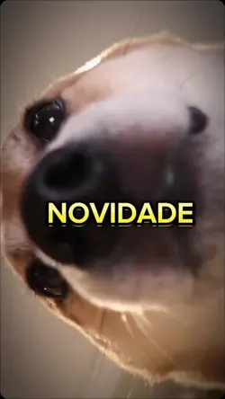 Cachorro digital