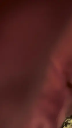Ipês 