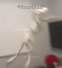 Skeleton Meme