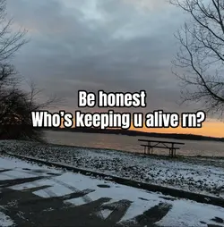 They’re literally my