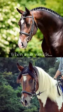 two worlds collide