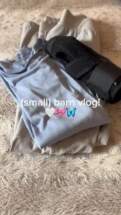 small barn vlog!