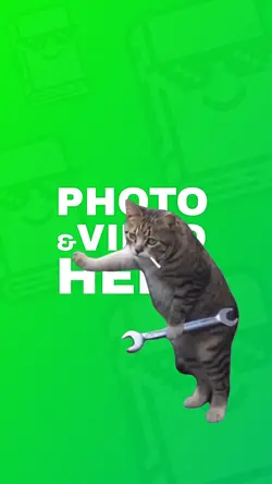 Cat Mechanic 