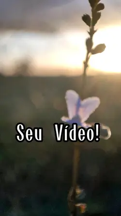 enxergue a beleza 