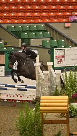 islands instrumental