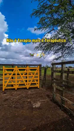 Vida na roça 🌾🐎
