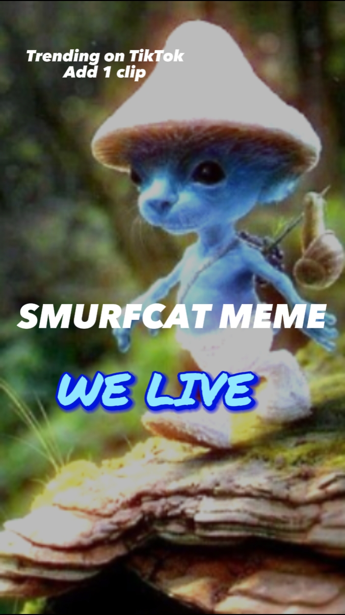 Meme del Gato Pitufo