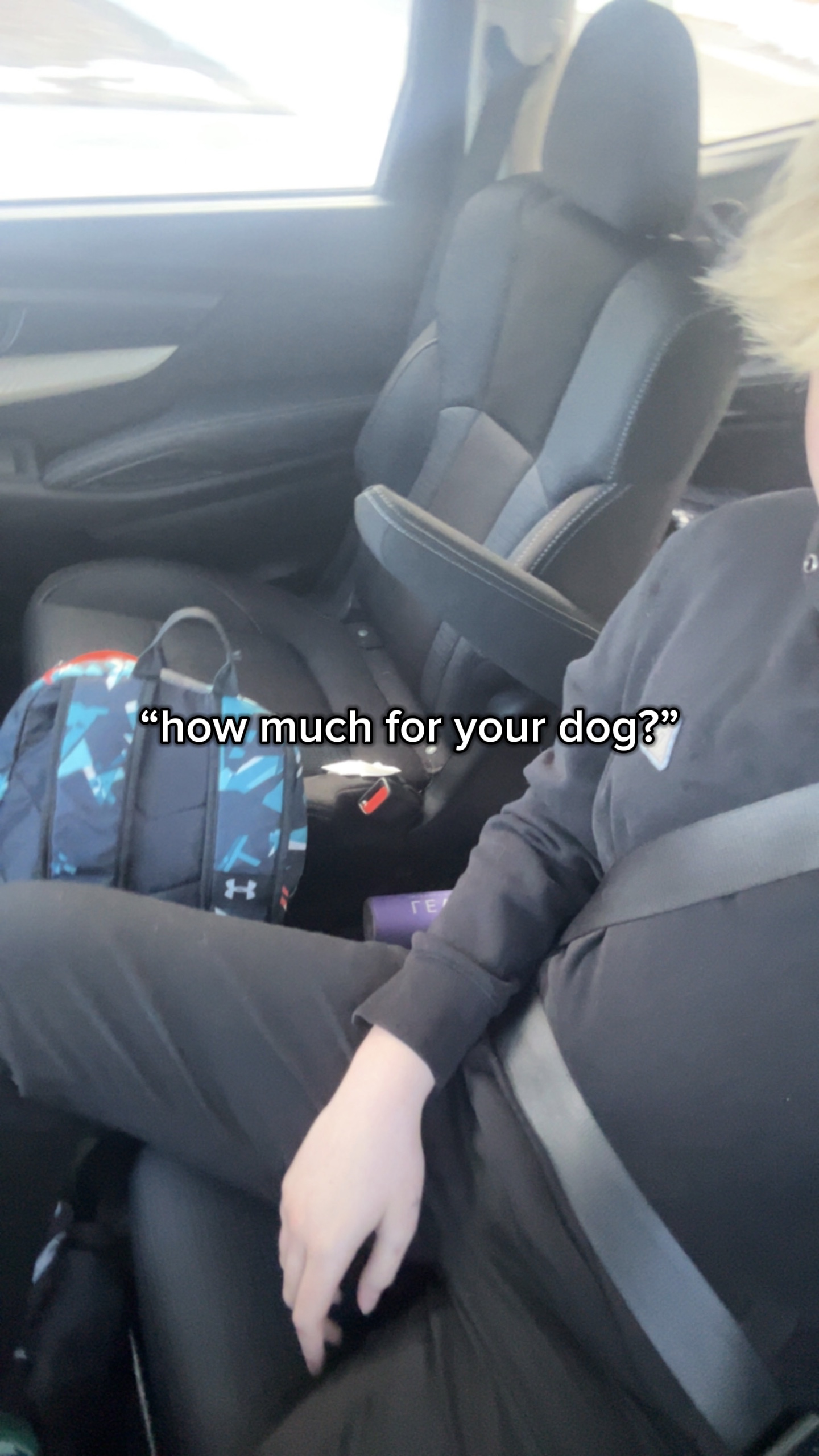 ne peut pas laisser son chien 