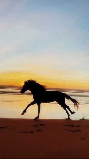 Los Temerarios 