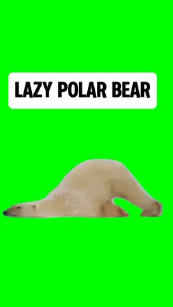LAZY POLAR BEAR