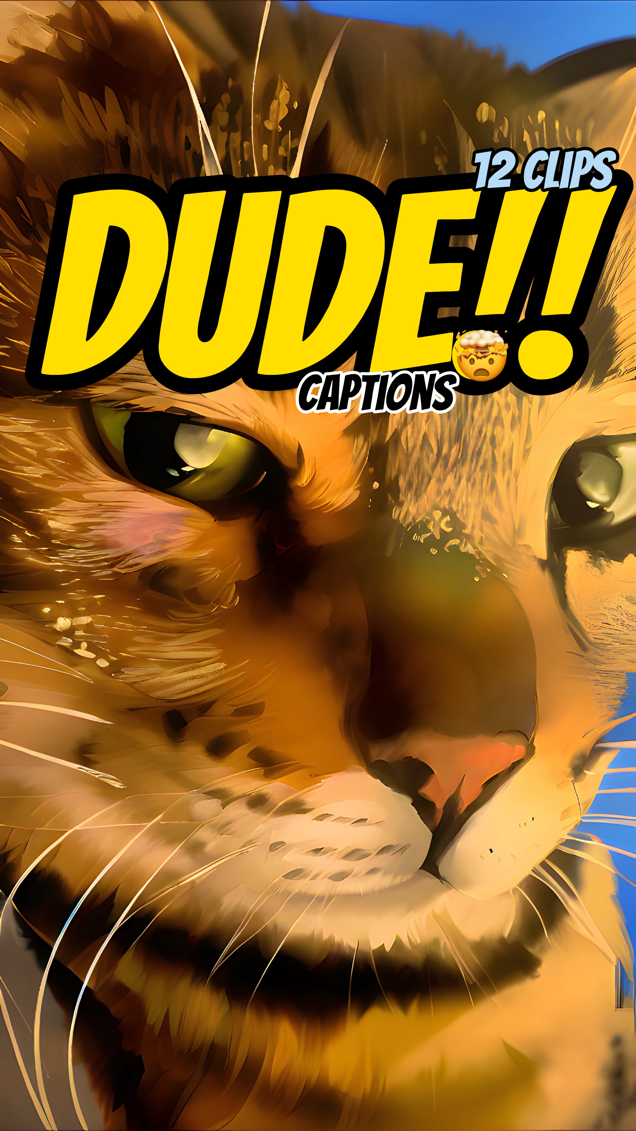 Dude!Shower thoughts