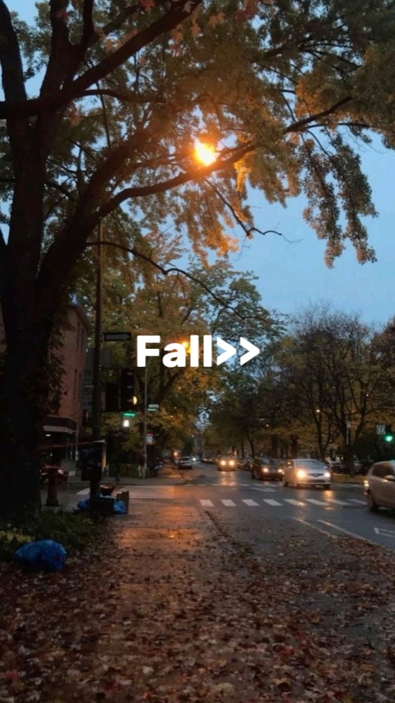 Fall<3