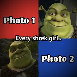 Shrek & donkey
