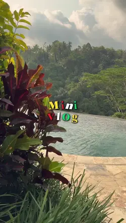 mini vlog