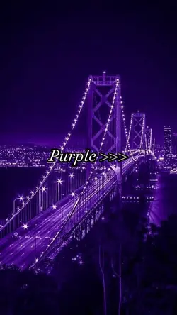 Purple Aesthetic 