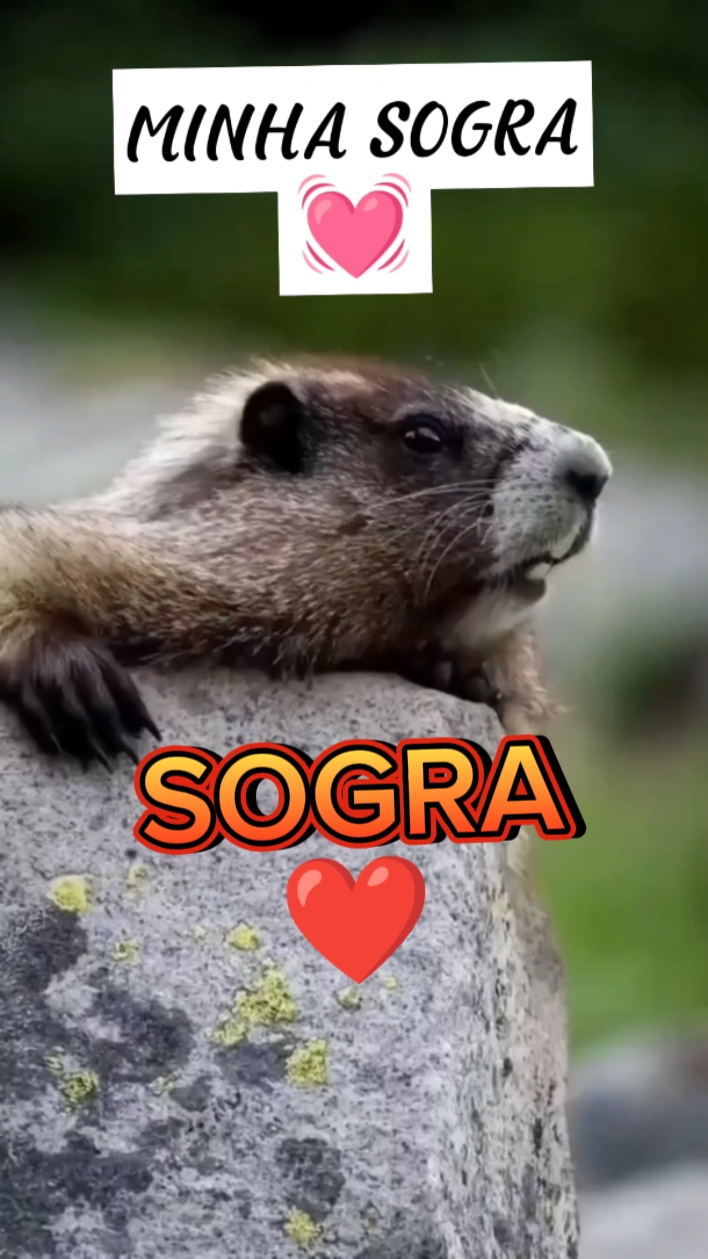 AMO MINHA SOGRA 