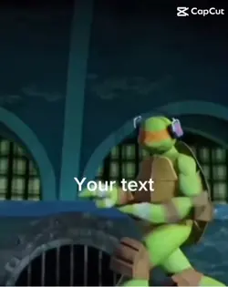 Ninja turtles 🐢