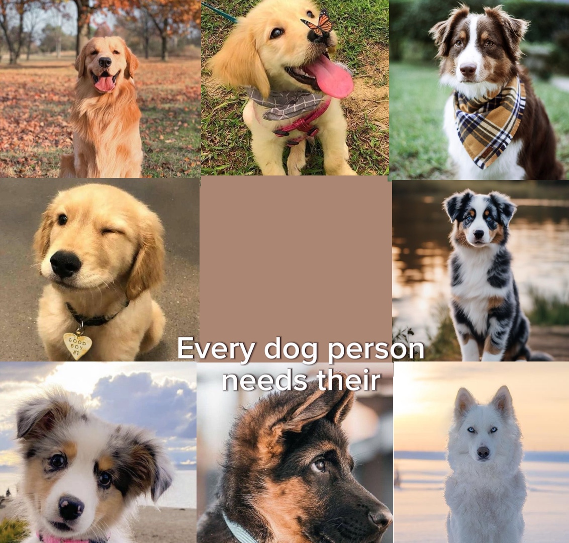 Every dog person