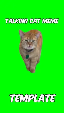 Talking cat