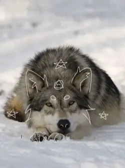 Wolf mind