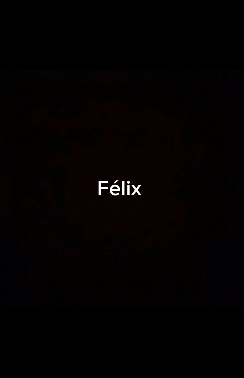 Félix stray kids 