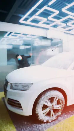 LAVA JATO, VEÍCULOS