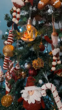 Natal 