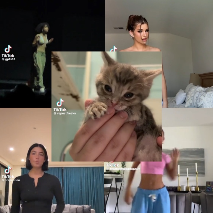 Kitty tyla dance 