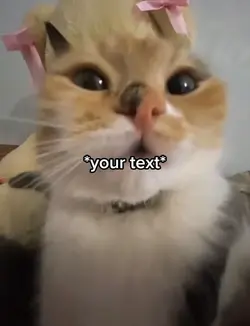 Rizz cat