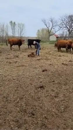 God Made A Farmer 
