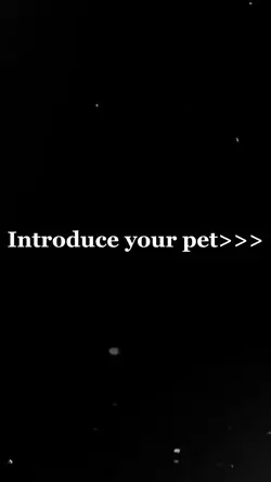 Pet