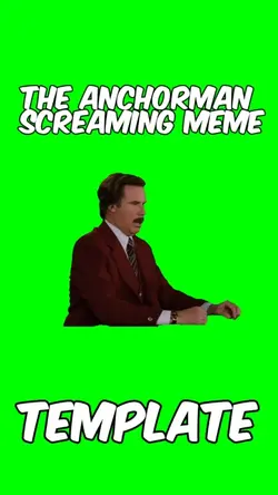 The anchorman 