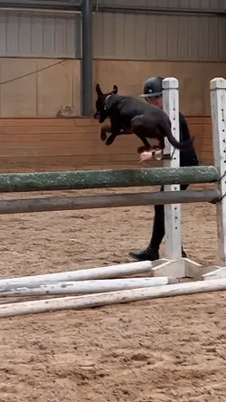 ⚠️NOT REAL⚠️ | 