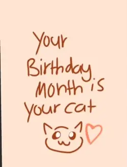 Bday cat